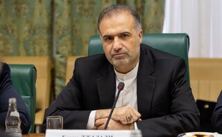 جلالی: جهان اسلام با وحدت و امید از مشکلات فرارو عبور می‌کند