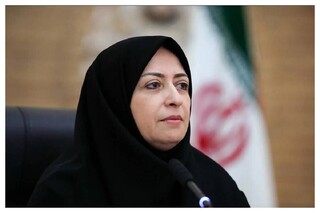 رئیس سازمان حفاظت محیط زیست: تمرکز ایران در «کاپ ٢٩» بر تاثیر تحریم‌های غیرعادلانه بر محیط زیست کشور است 