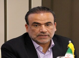 عضو کمیسیون اقتصادی مجلس: هدف دولت در ارائه کالابرگ الکترونیکی کمک به معیشت مردم است