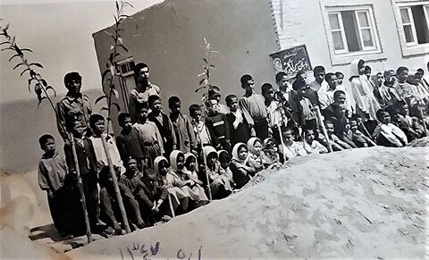 از سال ۱۳۴۷ درخت میکارم /روایتی از معلم بازنشسته کاشانی که میتواند الگوی ما باشد