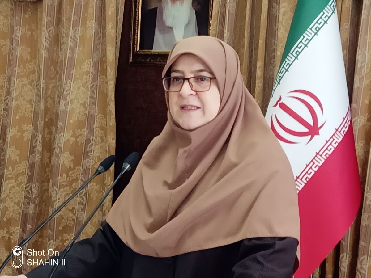 فیلم | توضیحات سخنگوی دولت درباره تامین پول نقد و برقراری اینترنت