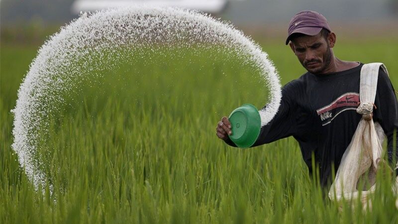 تهدید خودکفایی کشاورزی با کمبود و گرانی کود