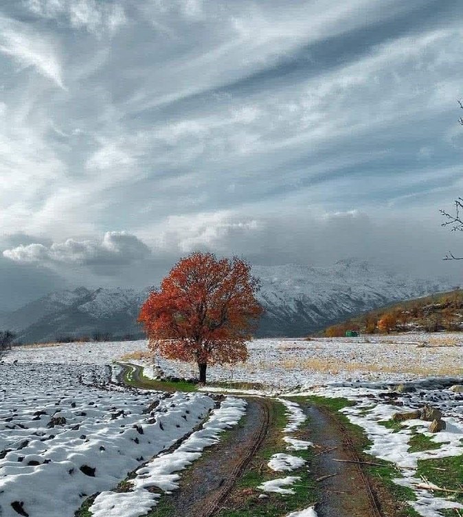 عکس| سه فصل در یک تصویر!