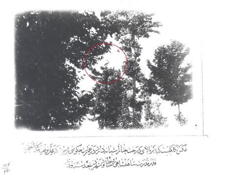 نخستین عکس حیات‌وحش ایران با ۱۳۲ سال قدمت