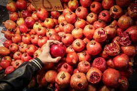 برخورد قاطع تعزیرات حکومتی با متخلفین بازار شب یلدا