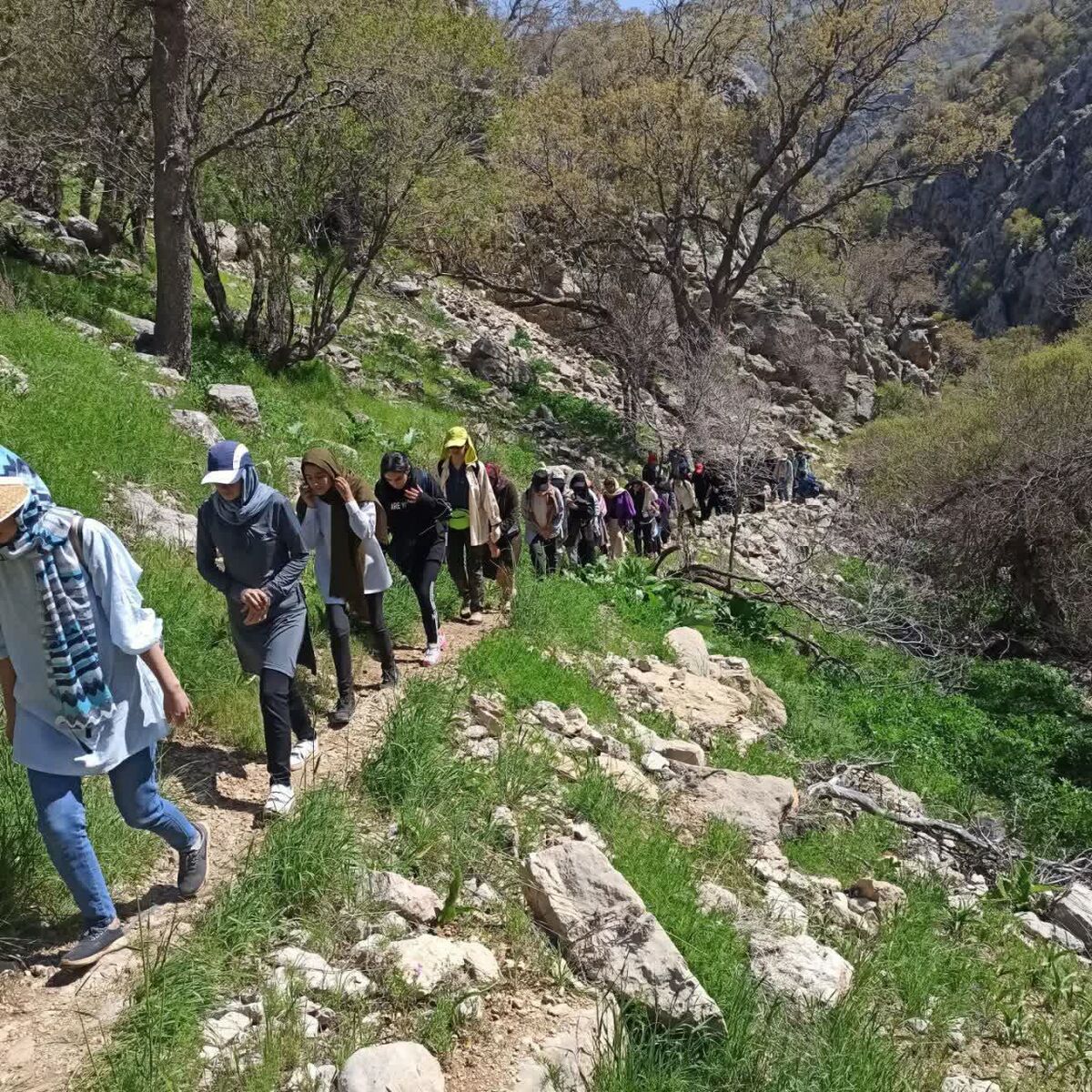 برنامه وزارت علوم برای اصلاح آیین‌نامه‌های فرهنگی دانشجویان 