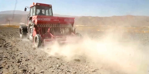 سال زراعی سخت برای لرستان؛ خسارت ۱۰ همتی به بخش کشاورزی