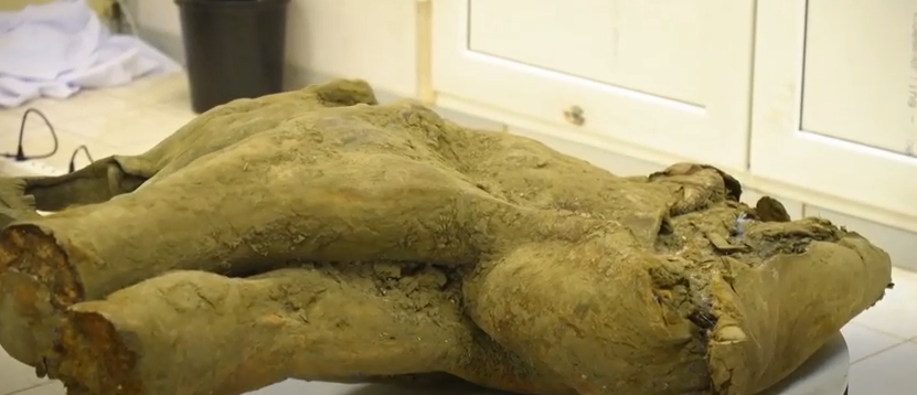 عکس| کشف بقایای بچهماموت ۵۰ هزار ساله در روسیه