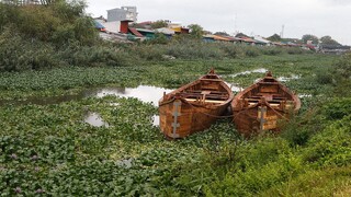 به دلیل هجوم شیطان آبی / نفس «آب‌بندان»های بابل بند آمده است 