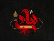 شبکه وکالت، ایده‌ای برای تثبیت شیعه