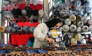 اختصاص ۸۰ درصد تسهیلات اشتغال خراسان‌شمالی به مشاغل خرد