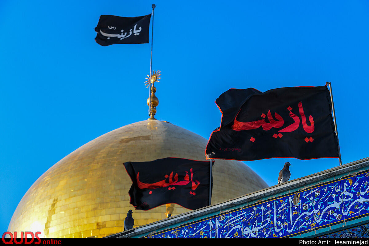 حضرت زینب(س) عزت مجاهدانه، صبر آگاهانه