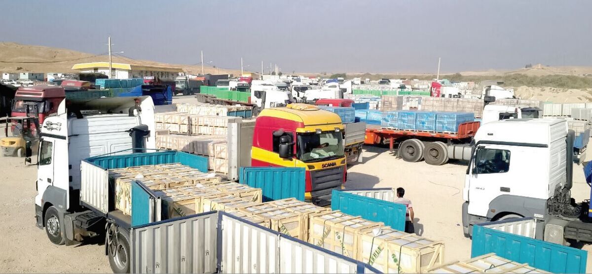 فعال اقتصادی مهاجر، همان سرمایه‌گذار خارجی است