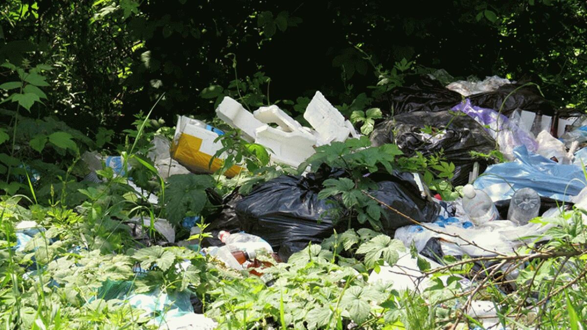 تهدیدات زیستمحیطی در کنار تهدیدات بیوتروریستی مورد توجه است تهدیدات زیستمحیطی در کنار تهدیدات بیوتروریستی مورد توجه است