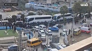 ورود ۳ اتوبوس حامل ۱۱۴ اسیر به رام الله در میان استقبال گسترده