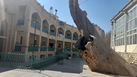 مسجدی از دل تاریخ و باب طبع همه سلیقهها