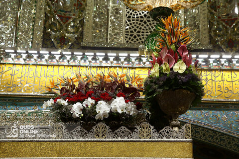 تعویض گل‌های ضریح حرم مطهر امام رضا (ع)