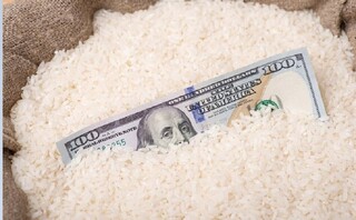 عدم‌تخصیص به‌موقع ارز عامل گرانی برنج شده است
