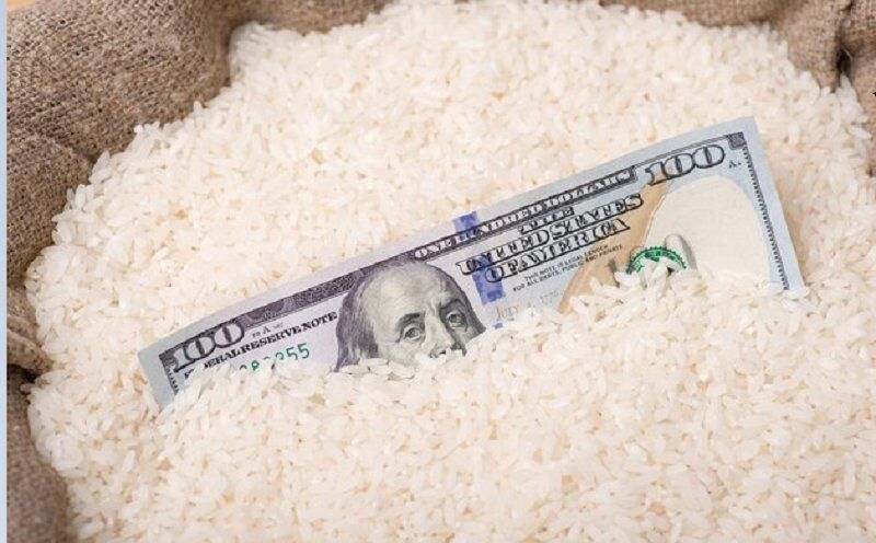عدم‌تخصیص به‌موقع ارز عامل گرانی برنج شده است