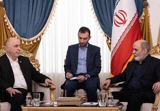 دبیرشورای عالی امنیت: حمایت ایران از مقاومت تا تداوم موفقیت در فلسطین و لبنان ادامه دارد