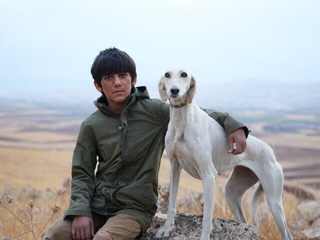 «فریاد»؛ عرض ارادتی به ادبیات ناتورالیستی