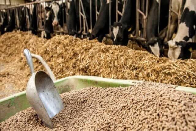 توزیع بیش از ۴۶ هزار تن انواع نهاده های دام و طیور در نیشابور