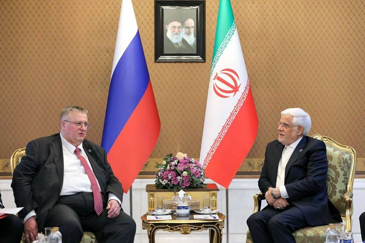 عارف در دیدار با معاون نخست‌وزیر فدراسیون روسیه:راه‌حل مسائل منطقه‌ای را تنها با کمک کشورهای منطقه جستجو می‌کنیم