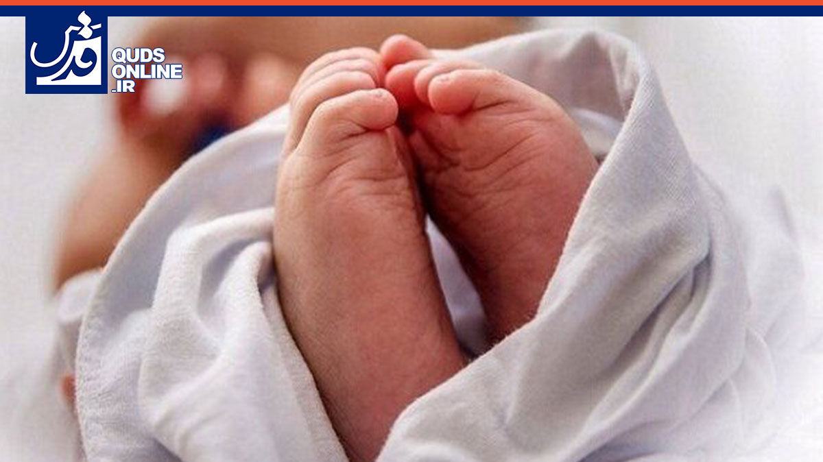 فیلم | تولدی زیر سایه کرامت امام رئوف علیه‌السلام