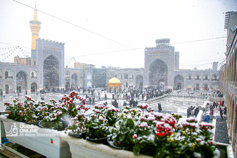 بارش برف در حرم مطهر رضوی