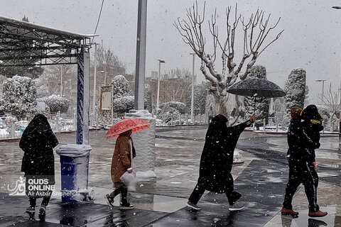 بارش برف در حرم مطهر رضوی