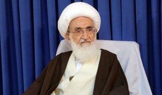 آیت‌الله العظمی نوری همدانی: حوزه باید آستانه تحمل خود را بالا ببرد