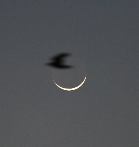 عکس | تصویری تماشایی از ماه نو رمضان در مشهد