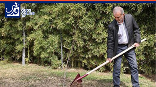 فیلم | پزشکیان: اجازه ندهیم فضای سبز موجود تخریب شود