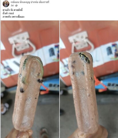 عکس | تصویری عجیب از مار یخزده در بستنی!