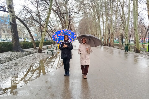 بارش باران در مشهد