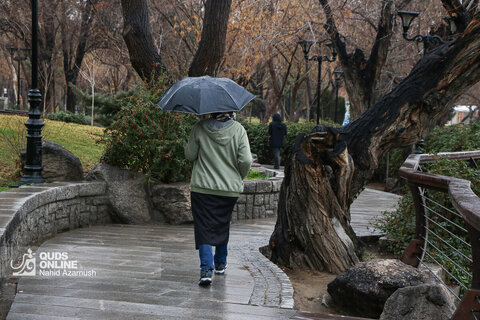 بارش باران در مشهد