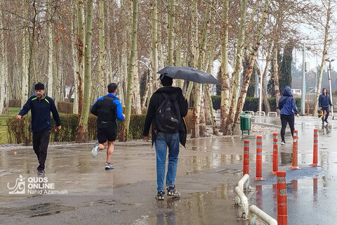 بارش باران در مشهد