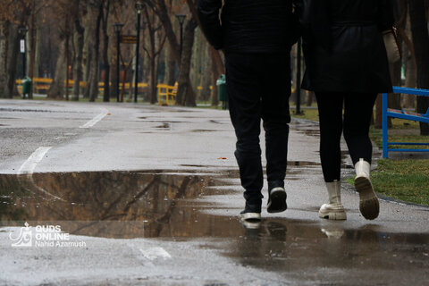 بارش باران در مشهد