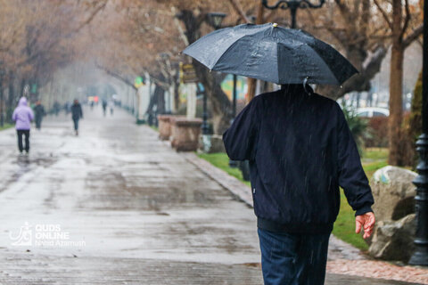 بارش باران در مشهد