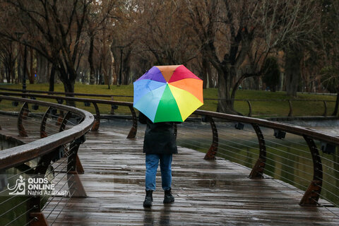 بارش باران در مشهد