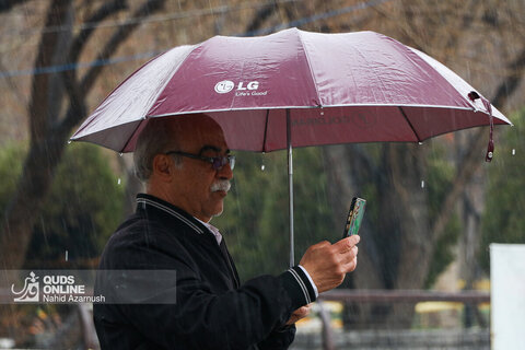 بارش باران در مشهد