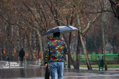 بارش باران در مشهد