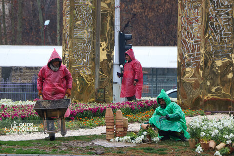 بارش باران در مشهد