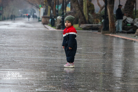 بارش باران در مشهد