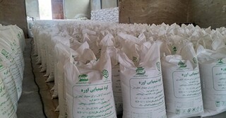 تامین دو هزار تن کود اوره برای توزیع در خراسان رضوی