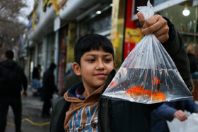 ماهی قرمز نخرید