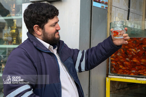 بازار ماهی قرمز سال نو