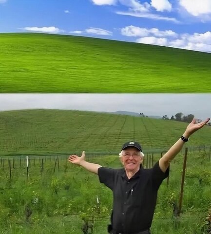 عکس | تصویر جالب از عکاس ویندوز XP