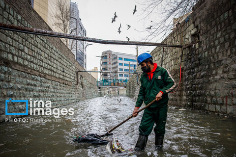 نگهبانان پنهان شهر
