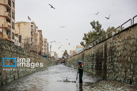 نگهبانان پنهان شهر